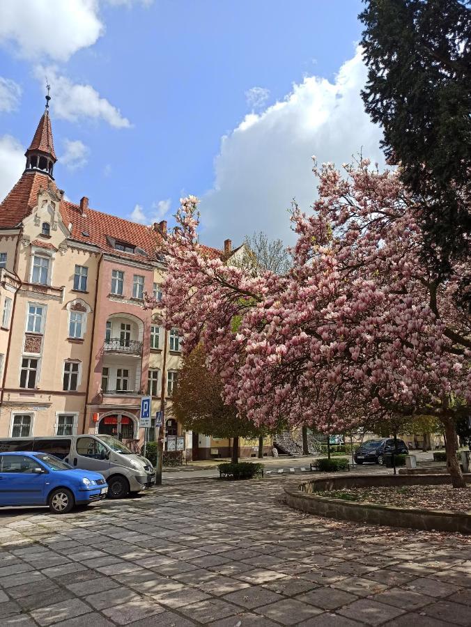 Apartament Rozeta Centrum 6Os Legnica Exterior photo